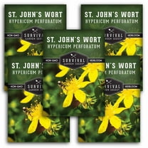 5 Packs St. John's Wort Seeds - Non-GMO Heirloom Perennial Full Sun Herb