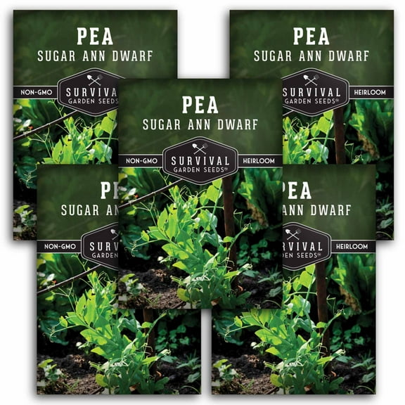 5 Packs Sugar Ann Dwarf Pea Seeds for Planting - Sweet Snap Peas - Non-GMO Heirloom Annual Full Sun