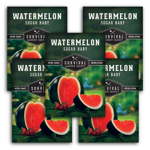 Sugar Baby Watermelon Seeds - Full Sun Annual Fruit - 5 Packs