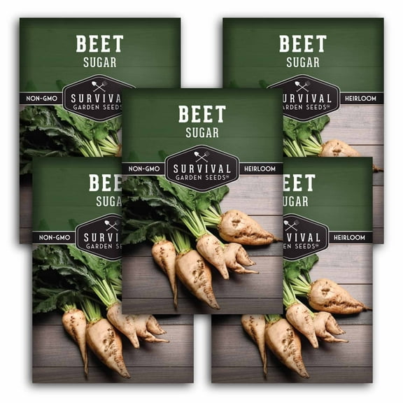 5 Packs Sugar Beet Seeds - Non-GMO Heirloom Full Sun Biennial Vegetable
