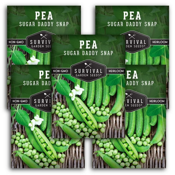 5 packs Sugar Daddy Snap Pea Seed - Non-GMO Heirloom Full Sun Annual Vegetable
