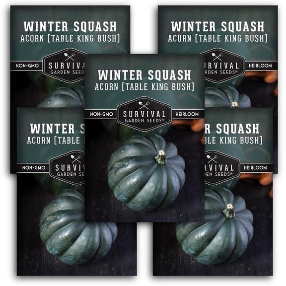 Table King Acorn Winter Squash Seeds - Full Sun Annual Vegetable - 5 Packs