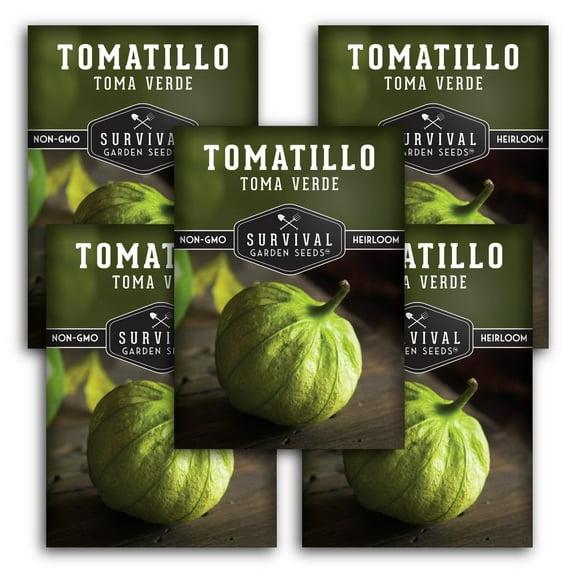Toma Verde Tomatillo Seeds - Non-GMO Heirloom Full Sun Annual Vegetable - 5 Packs
