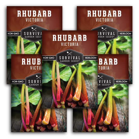 5 packs Victoria Rhubarb Seeds - Non-GMO Heirloom Full Sun Perennial Vegetable