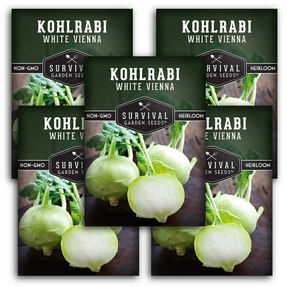5 packs White Vienna Kohlrabi Seed - Non-GMO Heirloom Full Sun Biennial Vegetable