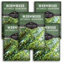 5 Packs Wormwood Seeds - Non-GMO Heirloom Perennial Full Sun to Partial Shade Herb