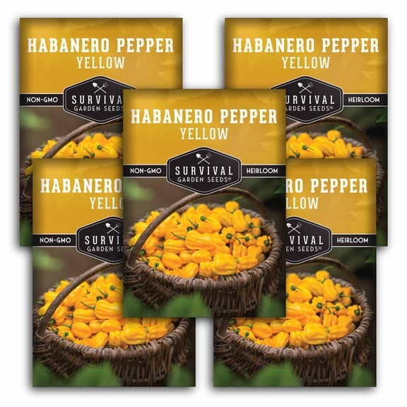 5 packs Yellow Habanero Pepper Seeds - Non-GMO Heirloom Full Sun Annual Vegetable