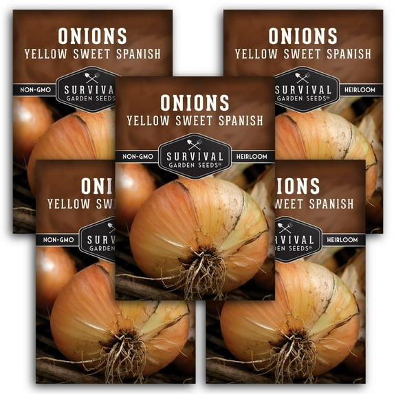 5 Packs Yellow Sweet Spanish Onion Seeds - Non-GMO Heirloom Biennial Full Sun Vegetable