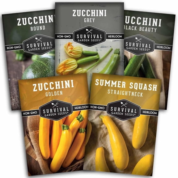 Zucchini & Squash Collection - Full Sun Annual Vegetable Seeds - 5 Varieties