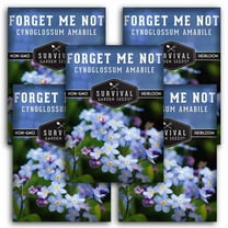 5 Packs of Forget-Me-Not Seed - Non-GMO Heirloom Full Sun Annual Flower