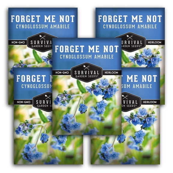 Forget-Me-Not Seeds - Full Sun Annual Flower - 5 Packs