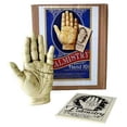 thumbnail image 1 of 5" Palmistry Hand, 1 of 1
