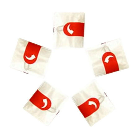 5 Pc Oven Cooking Bags,Cooking Roasting Package Bags,Oven-Safe,BPA-Free,Heat-Resistant,Grilling Toast Bag for Chicken Turkey Meats Fish Vegetables,Microwave Steamer Bags,9.8''x15''(Clear)