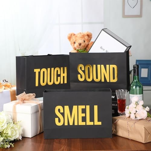 5 Pcs 5 Senses Gift Bags for Him Her Five Senses Gift Bags Taste Touch Smell Sound Sight Wrapping with Handle for Birthday Wedding Christmas Holiday Party(Black,12.6 x 8.7 x 4 Inch)