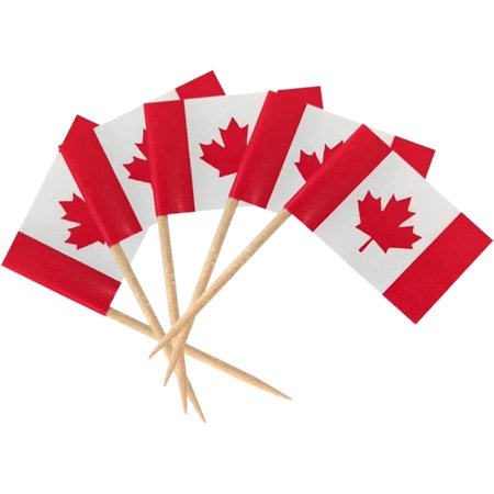 5 Pcs Canada Toothpick Flag,100 Pcs Canada Flag Toothpick Flags - Small Canadian Cupcake Toppers Stick Flags CA Country Decorations Cocktail Picks. Pochy