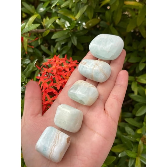 5 Pcs Caribbean Calcite Tumbled Stones, Polished Natural Caribbean Calcite Gemstone, Caribbean Calcite Healing Crystals (Caribbean Calcite)