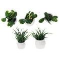thumbnail image 1 of WASHWEPE Miniature Bonsai Models Plastic Green Micro-Landscape Decoration 5Pcs 0.8*1.4in, 1 of 6