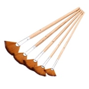 5 Pcs Fan Brushes Set Professional Acrylic Paint Brushes Artist Paintbrush for Watercolor Oil Canvas Painting