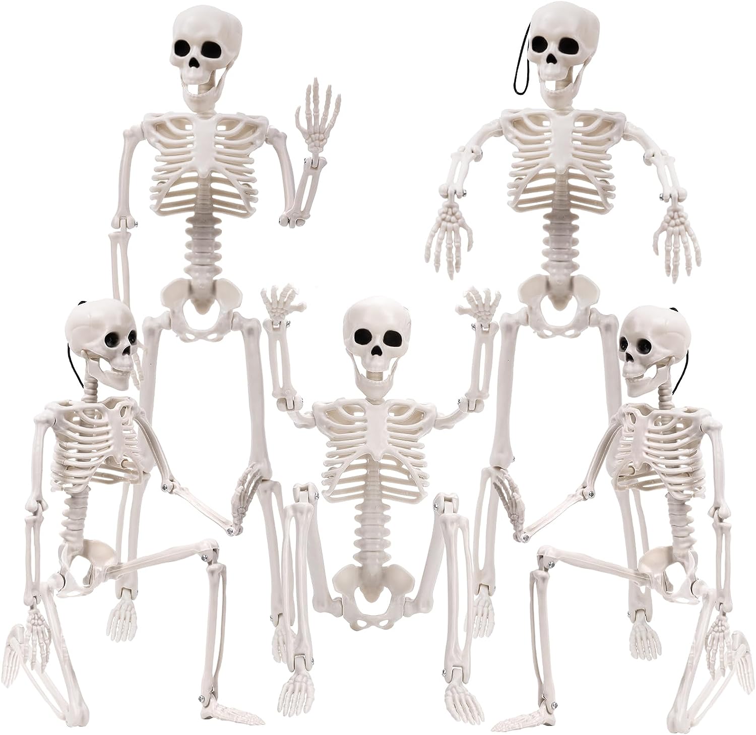 Halloween Posable Skeleton Realistic Life Size Posable Joints