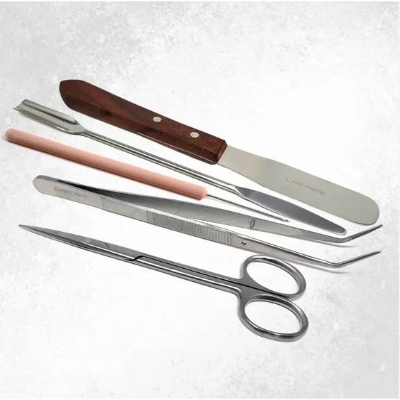 5 Pcs Lab Kit Multipurpose Lab Stainless Steel Lab Essentials Tools Wpoden Handle Spatula, Tapered/Scoop Spatula, Angled Tweezers with Mini Scissors
