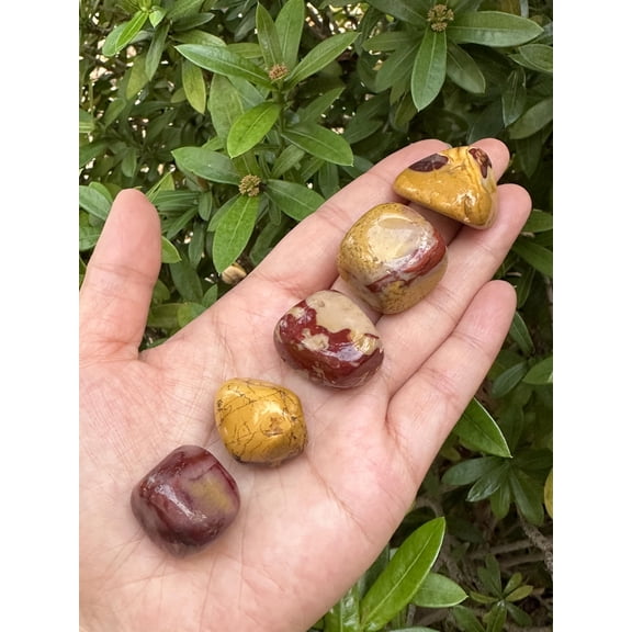 5 Pcs Mookaite Tumbled Stones, Polished Mookaite Gemstone, Mookaite Healing Crystals (Mookaite)