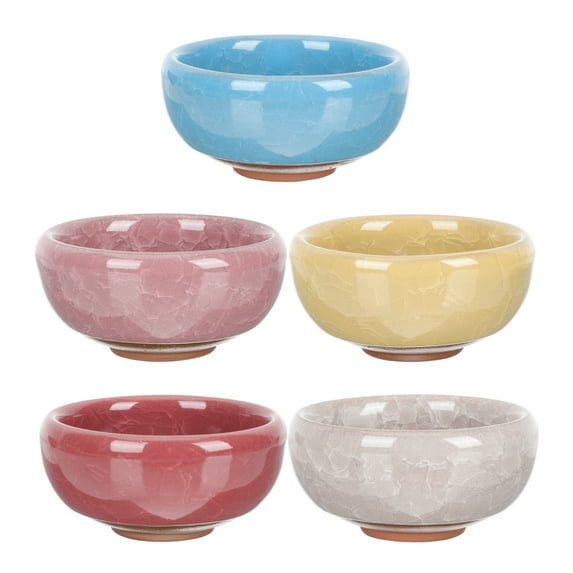 5 Pcs Outdoor Flower Planters Sleeping Bowl Lotus Pot Succulent Plants Ceramics