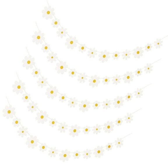 5 Pcs Pink Birthday Decorations Daisy Party Latte