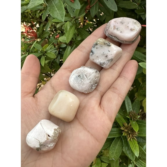 5 Pcs Pink Opal Tumbled Stones, Polished Pink Opal Gemstone, Pink Opal Healing Crystals (Pink Opal)