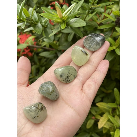 5 Pcs Prehnite with Rutile Tumbled Stones, Polished Natural Prehnite with Rutile Gemstone, Prehnite with Rutile Healing Crystals (Prehnite with Rutile)