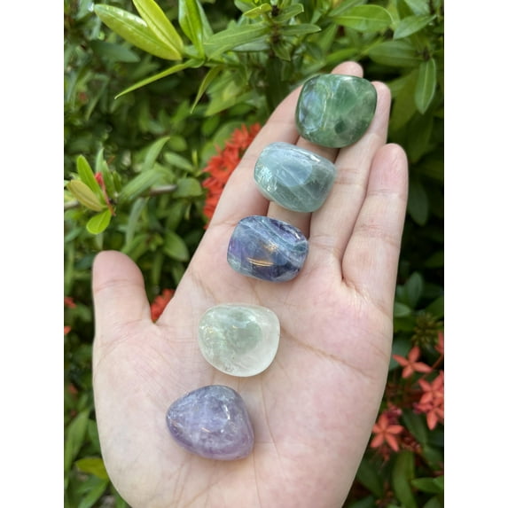 5 Pcs Rainbow Fluorite Tumbled Stones, Polished Natural Rainbow Fluorite Gemstone, Rainbow Fluorite Healing Crystals (Rainbow Fluorite)