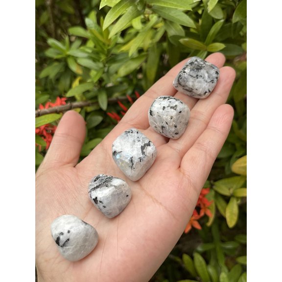 5 Pcs Rainbow Moonstone Tumbled Stones, Polished Rainbow Moonstone Gemstone, Rainbow Moonstone Healing Crystals (Rainbow Moonstone)