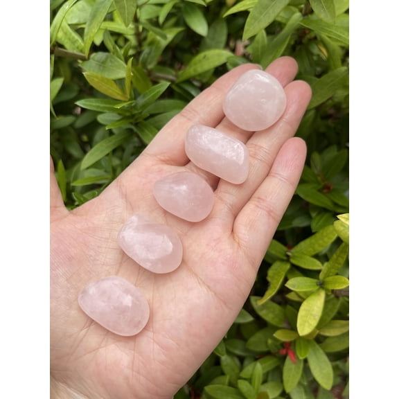 5 Pcs Rose Quartz Tumbled Stones, Polished Rose Quartz Gemstone, Rose Quartz Healing Crystals (Rose Quartz)