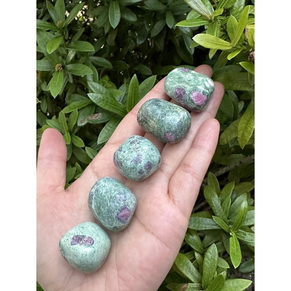 5 Pcs Ruby Fuchsite Tumbled Stones, Polished Natural Ruby Fuchsite Gemstone, Ruby Fuchsite Healing Crystals (Ruby Fuchsite)