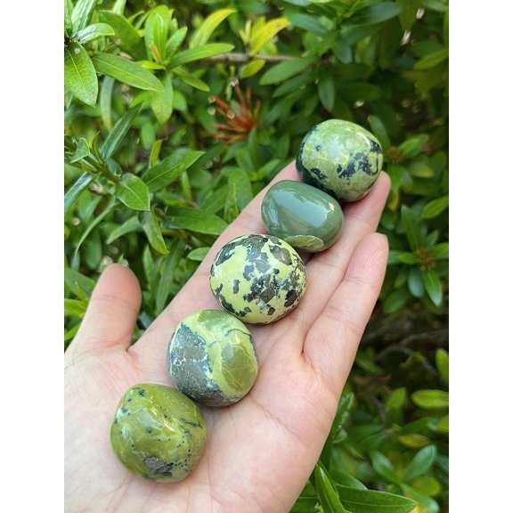 5 Pcs Serpentine Tumbled Stones, Polished Natural Serpentine Gemstone, Serpentine Healing Crystals (Serpentine)