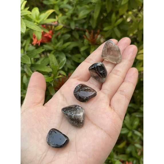 5 Pcs Smoky Quartz Tumbled Stones, Polished Smoky Quartz Gemstone, Smoky Quartz Healing Crystals (Smoky Quartz)