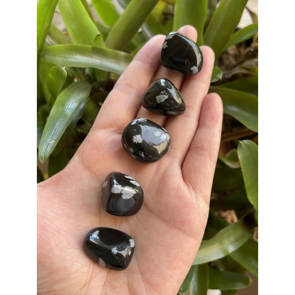 5 Pcs Snowflake Obsidian Tumbled Stones, Polished Natural Snowflake Obsidian Gemstone, Snowflake Obsidian Healing Crystals (Snowflake Obsidian)