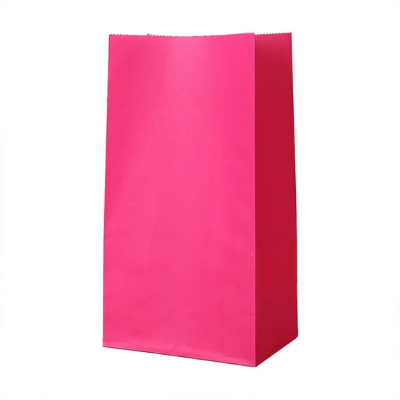 5 Pcs Solid Multi-Color Wrapped Party Bags Mini Paper Bags Party Favor Bags Small Party Goodie Bag Paper Lunch Bag Kraft Paper Goodie Gift Lunch Treat Bags Party Supplies, 7.09 Inch, Hot Pink