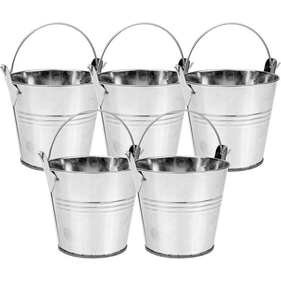 5 Pcs Storage Tin Bucket Flower Arrangement Container Vase Decor Flowerbed Toy Baskets Holder