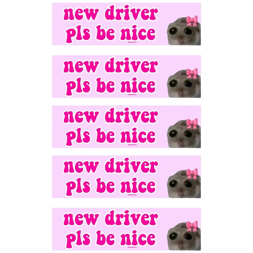 5 Pcs Student Driver Sticker Magnet for Car, New Driver Please Be Nice ...