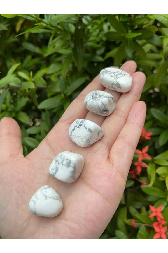 5 Pcs White Howlite Tumbled Stones, Polished Natural White Howlite Gemstone, White Howlite Healing Crystals (White Howlite)