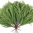 thumbnail image 1 of 5 Piece 18inch Christmas Norfolk Pine Branches Pine Stems for Xmas DIY Crafts Garland Wreath- Christmas Deco, 1 of 9