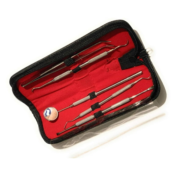 5 Piece Stainless Steel Dentist Tools - Anti-Fog Mirror, Dental Scaler, Tarter Scraper, Dental Pick, Dental Tweezers for Calculus & Tartar Removal, Gum Health, Teeth Cleaning