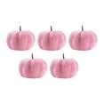 thumbnail image 1 of 5 Pieces Decorative Simulation Pumpkin Rustic Table Party Pink Velvet Flannel for Thanksgiving Kitchen Decor, 1 of 9