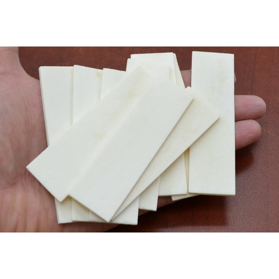 5 Pieces Guitar Buffalo Bone Saddle Blanks 4" x 1" x 3mm