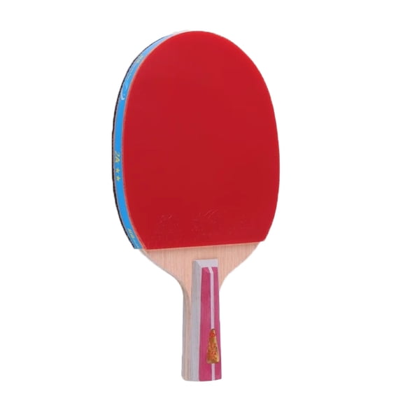 5Ply Wood Table Tennis Racket Set, Beginner Training Ping Pong Paddle with 2 Balls, Ergonomic Handle for EntryLevel Players