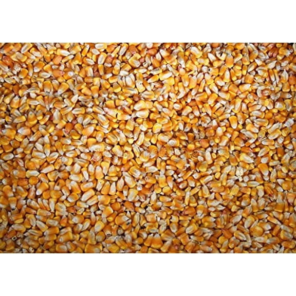 5 Pounds of CZ Grain Whole Kernel Corn - Make Corn Meal - Yellow Corn Grown in Iowa. Great for Tortillas - Deers, Ducks, Turkey Food - Masa Maize