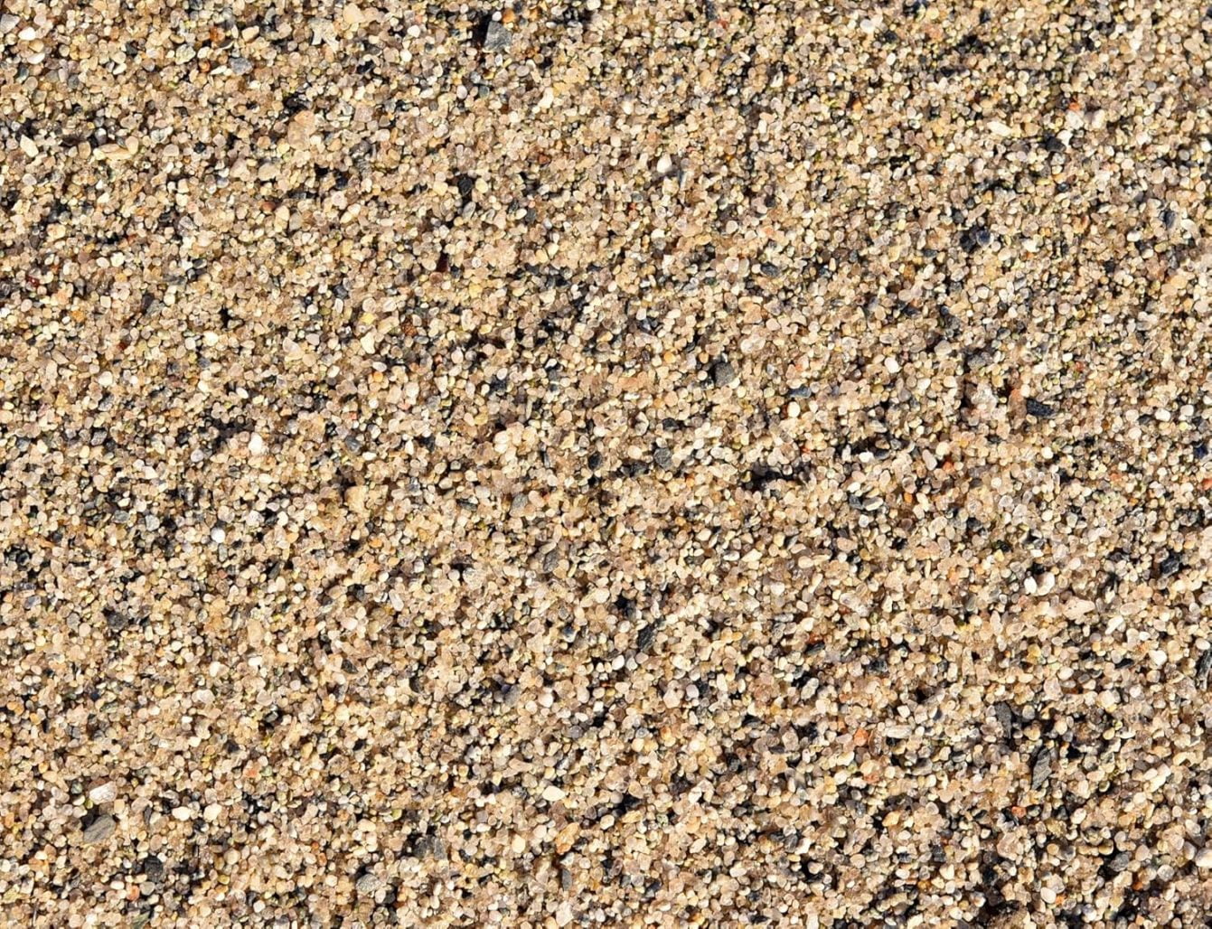5 Pounds of Sand
