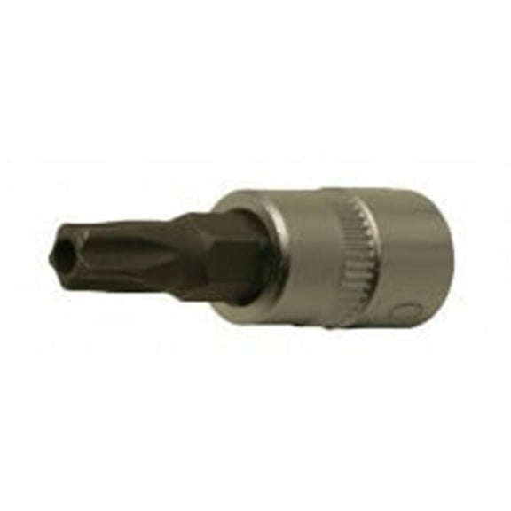 5 Pt Tamper Torx Socket T50