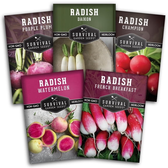 Radish Vegetable Seeds 5 Pack - Full Sun, Biennial