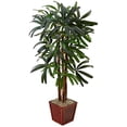 thumbnail image 1 of 5’ Raphis Palm Tree in Bamboo Planter by Nearly Natural, 1 of 2